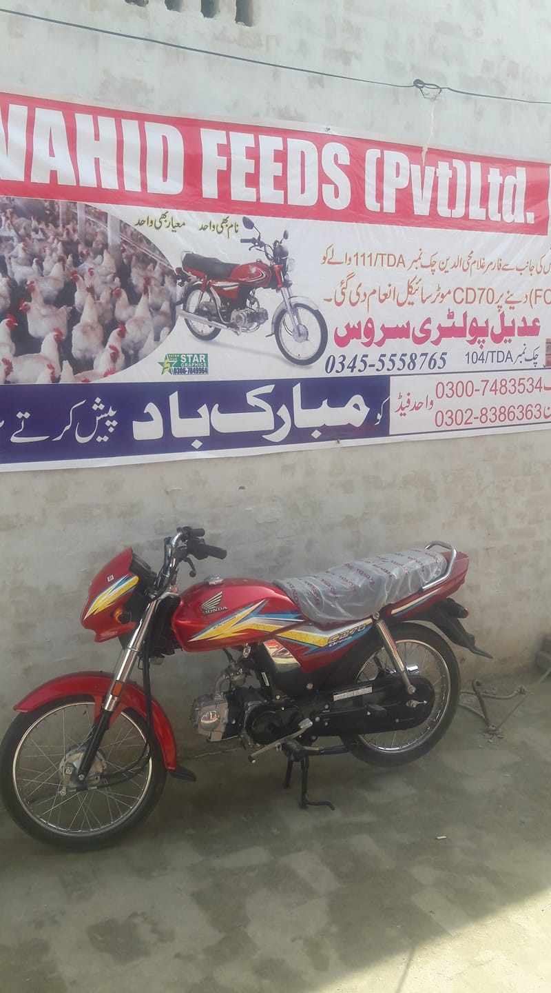 AdEel Poultry Services | Layyah