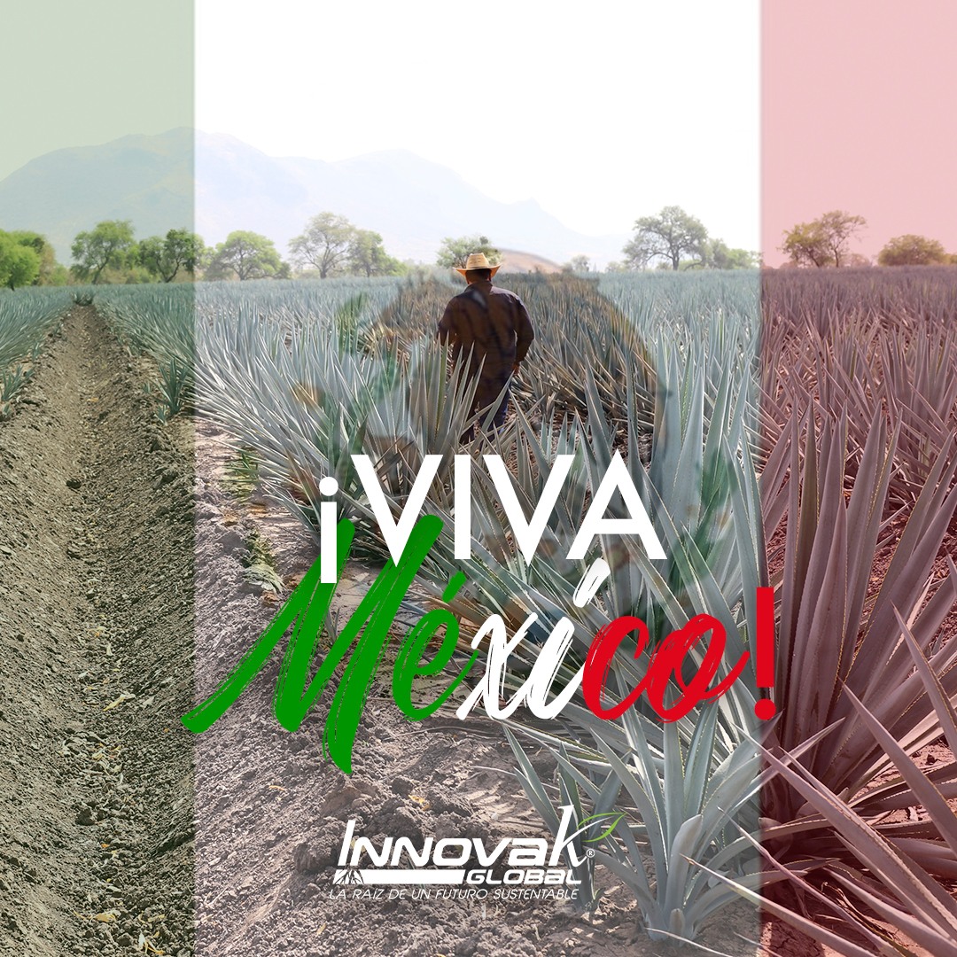 Innovak Global - ¡ Viva #México ! 🇲🇽 Somos una empresa de raíces ...