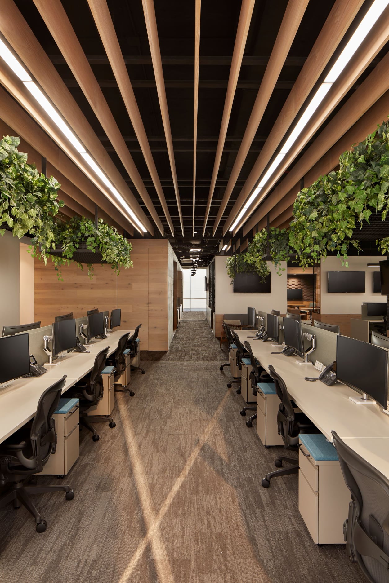 Weber Arquitectos
