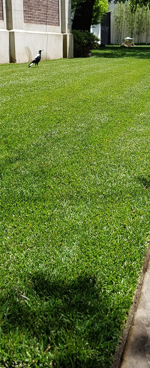 Pure Turf | Greater Geelong (C) VIC