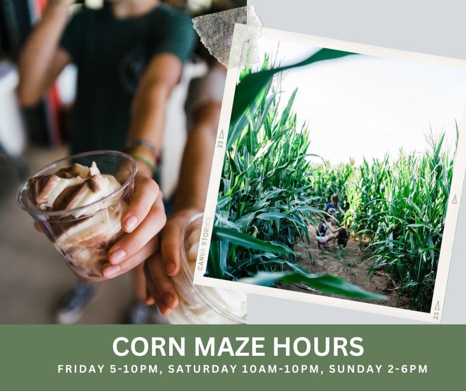 Morath Orchard Corn Maze