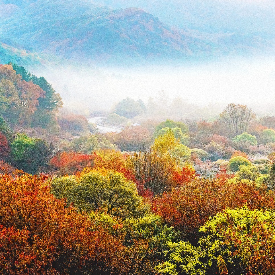 Gangwon State - Are you looking for one of the best... | Facebook