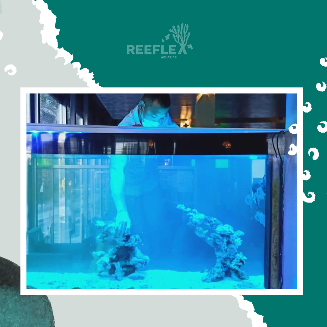 Reeflex Aquatics