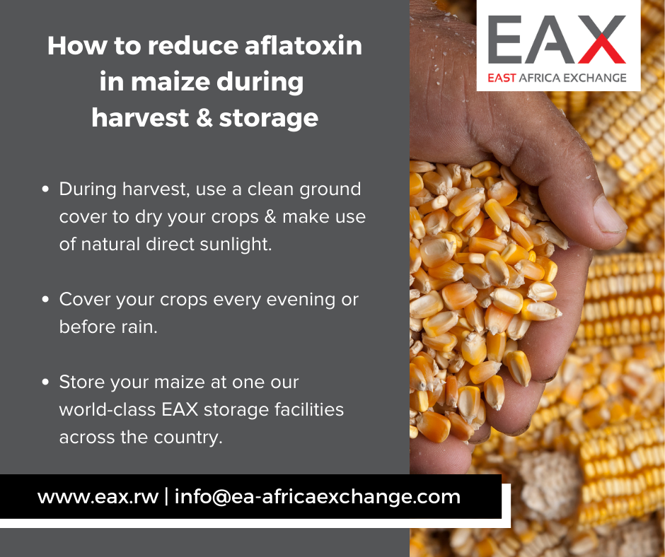 East Africa Exchange - EAX | Kigali