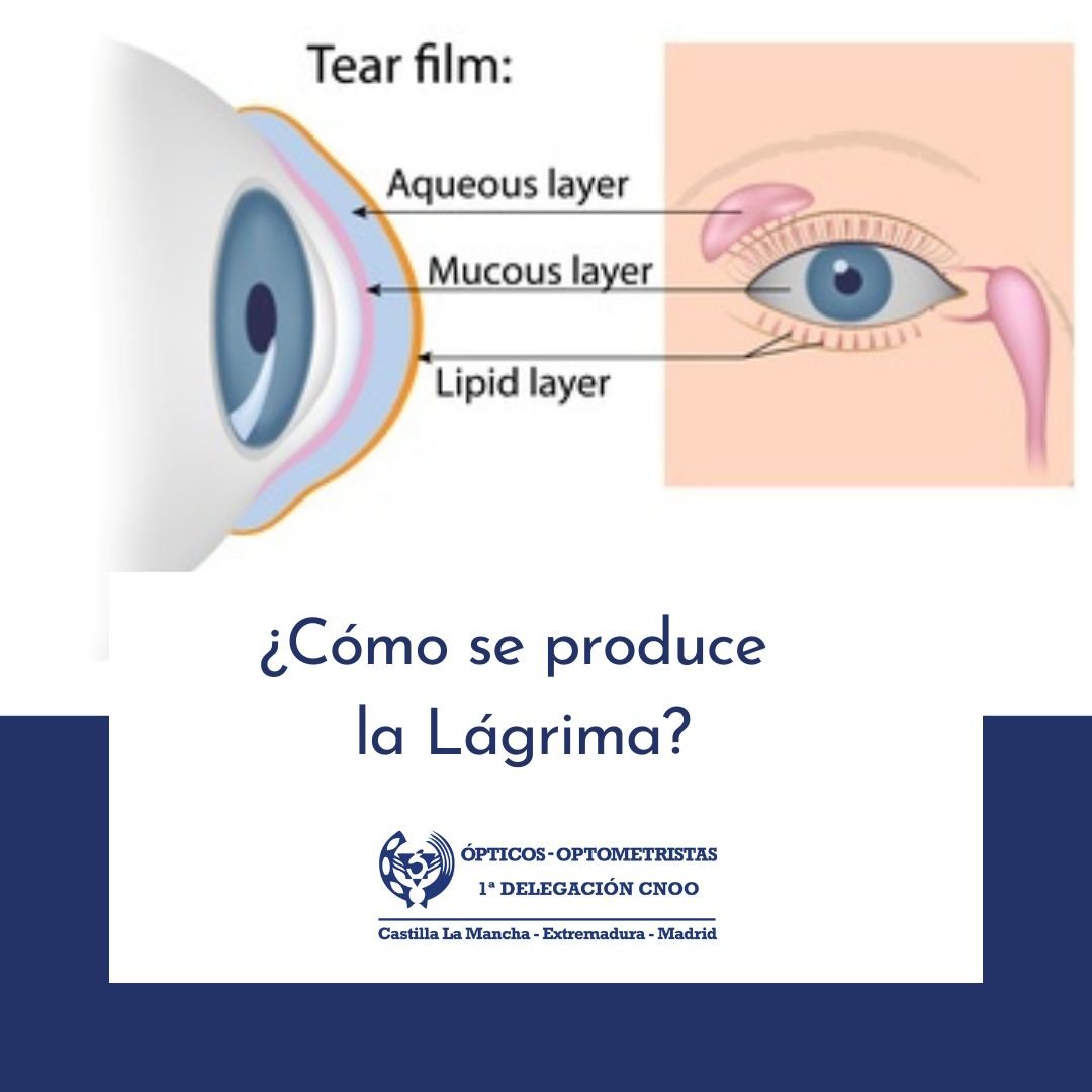 ¿Cómo se produce la lágrima?... - Primera Delegación CNOO