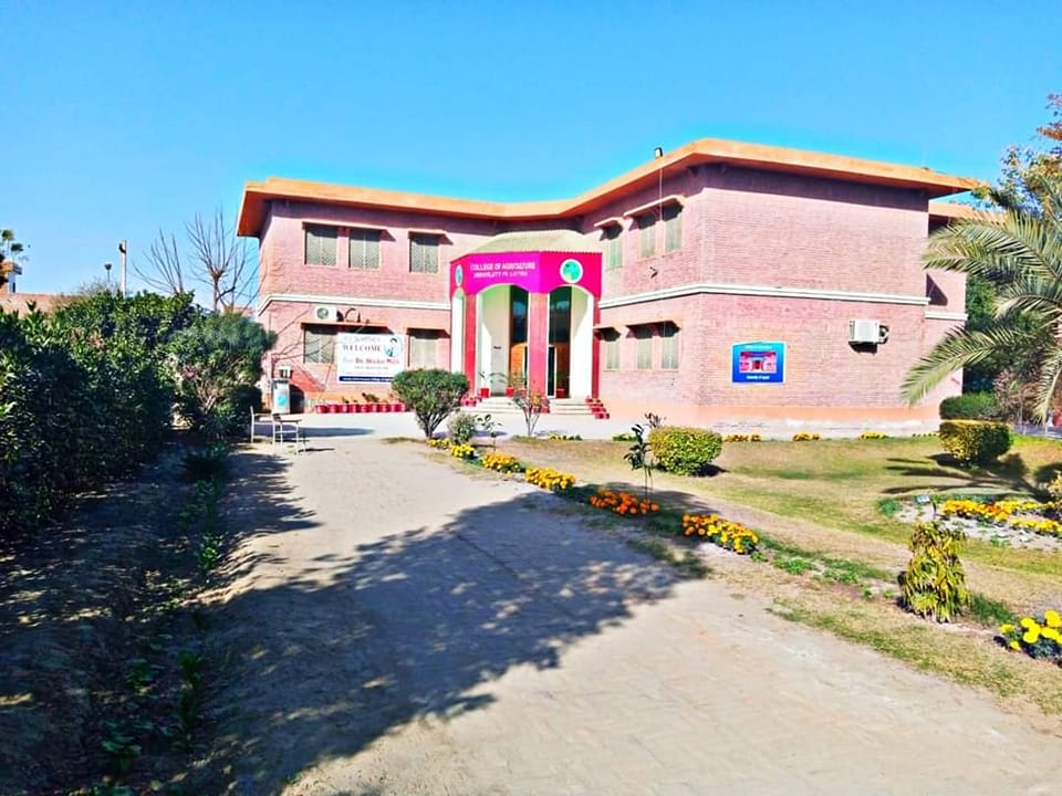 university of layyah | Facebook