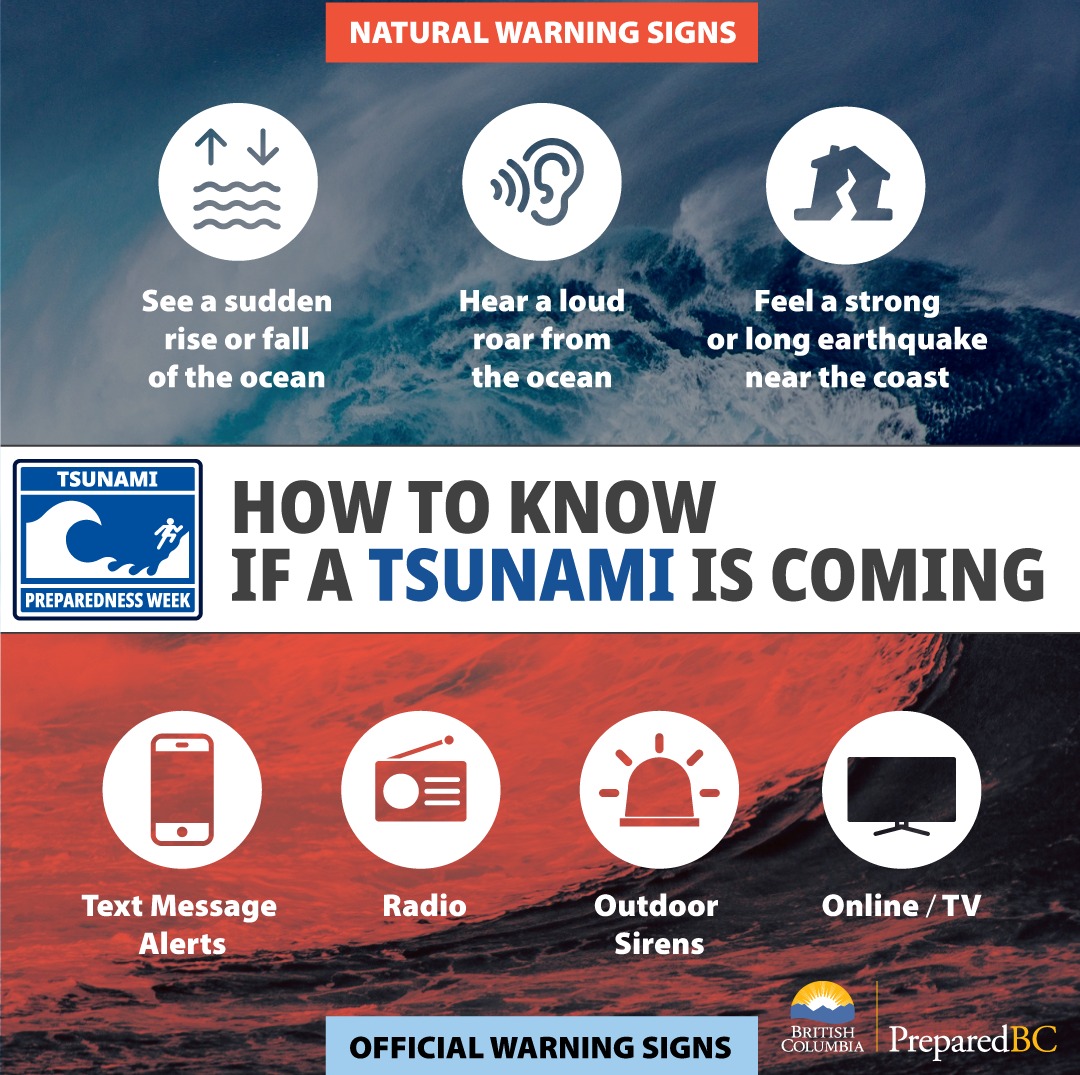 Tsunamis Warning Signs Types Of Warnings: Natural & Official | Redwood
