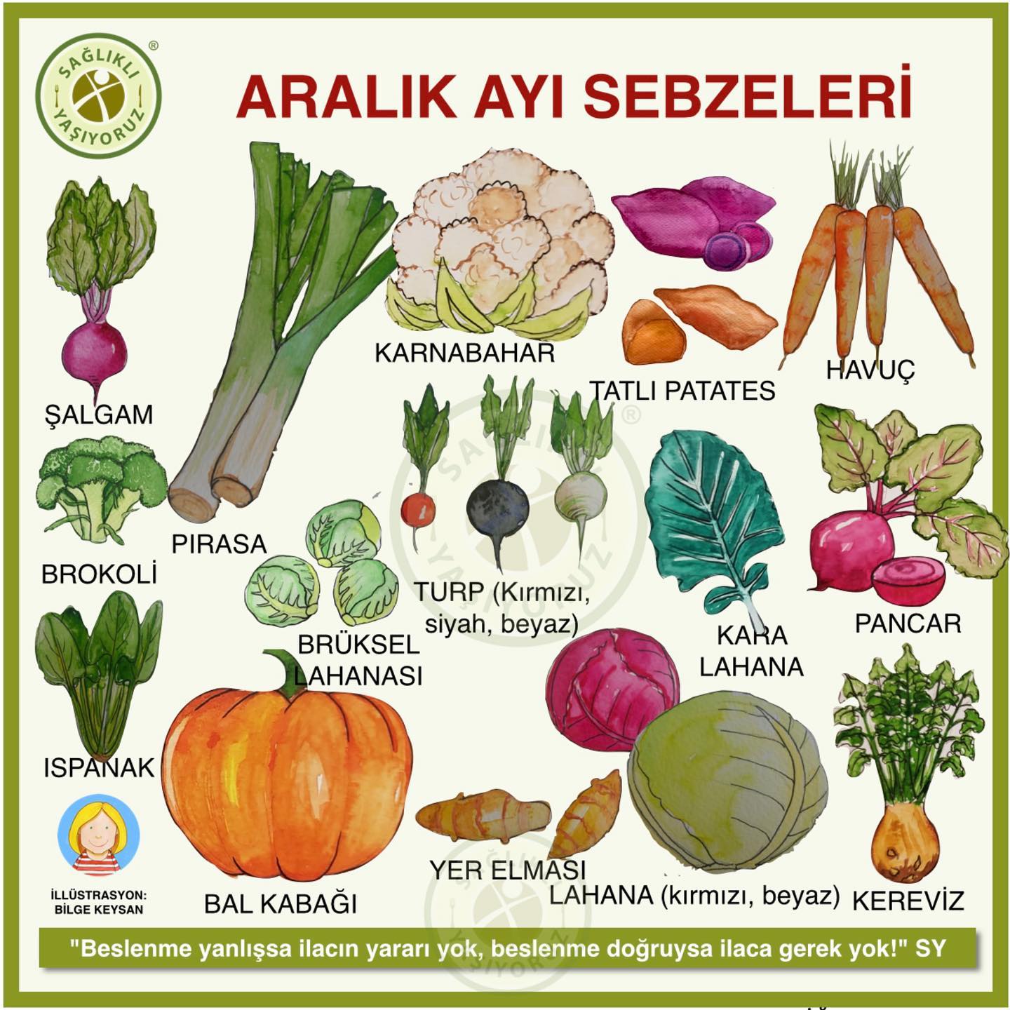 Sağlıklı Yaşıyoruz - ARALIK AYI SEBZELERİ Sağlıklı beslenenler sebze ve ...