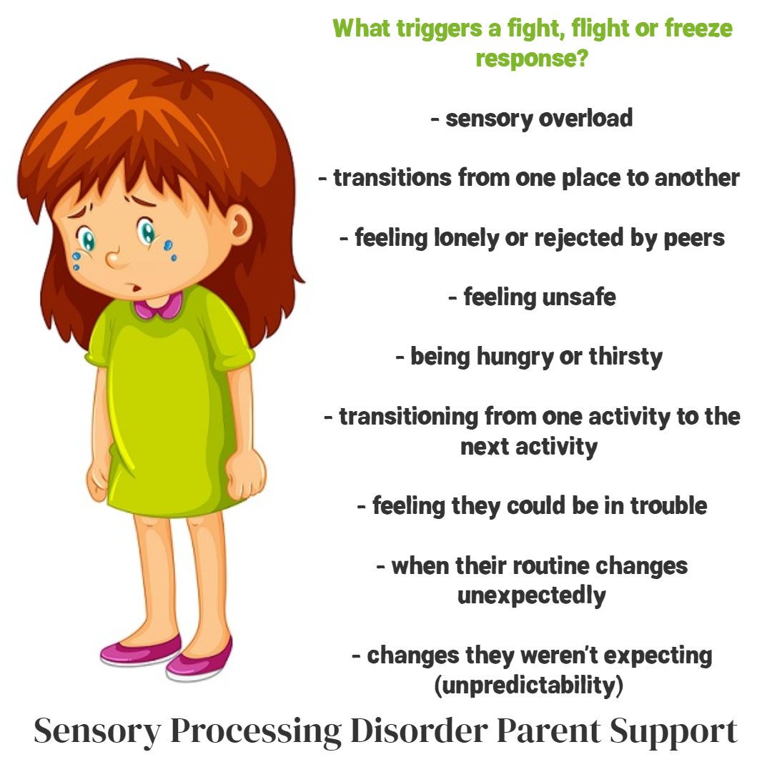 What triggers a fight, flight or freeze response? - sensory overload ...