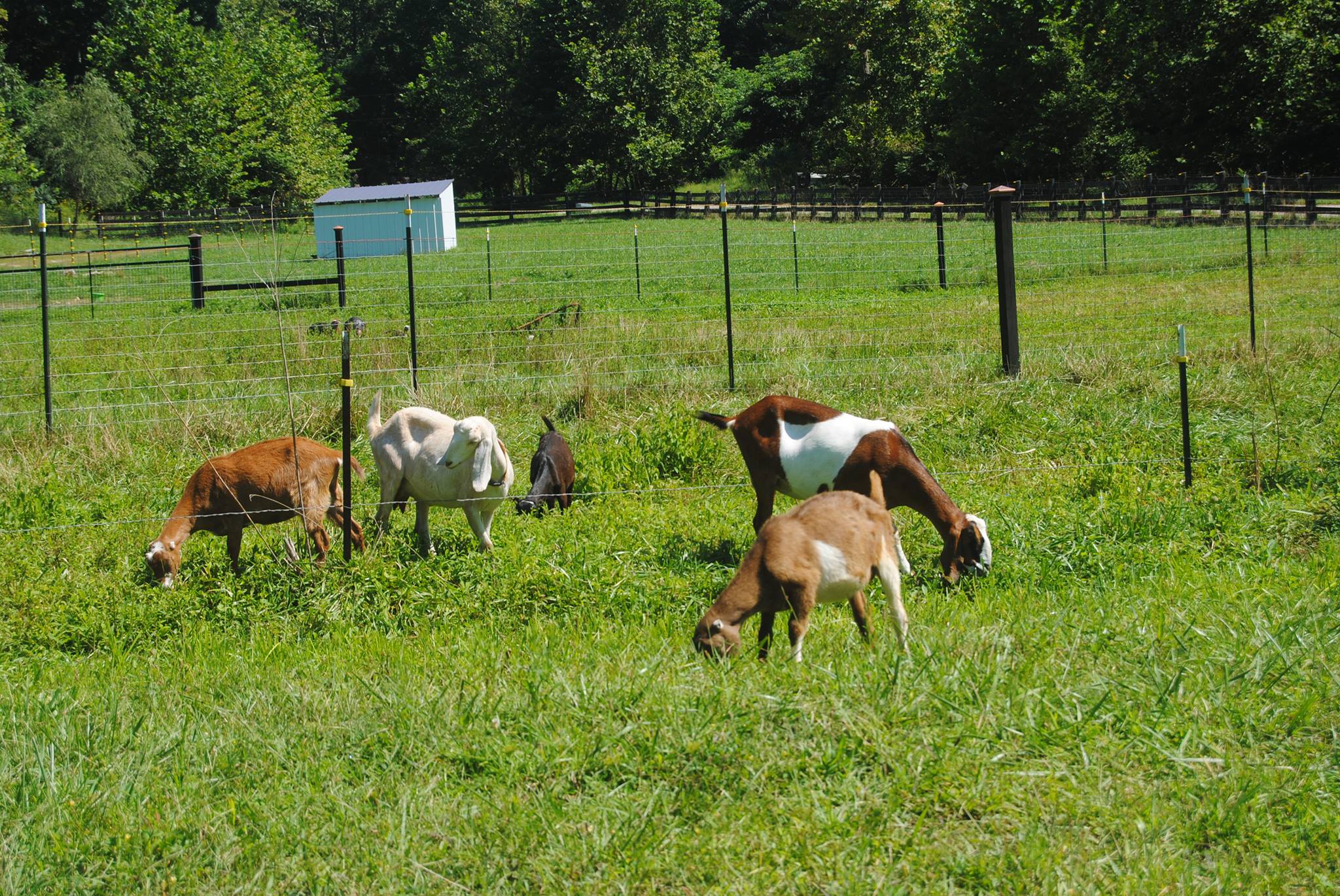 Best Layed Plans Farm