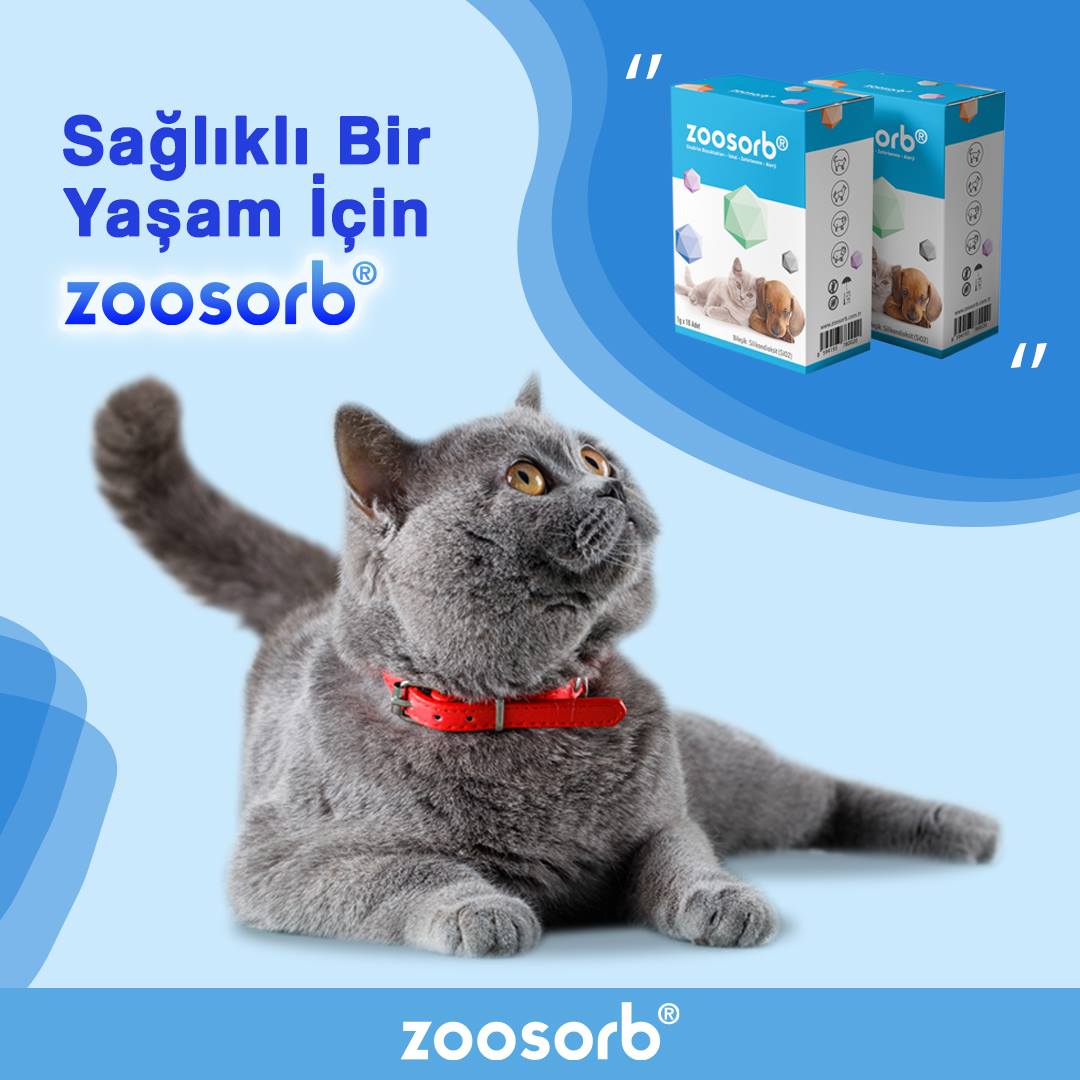Zoosorb - 🌈 #Zoosorb , toksinleri, alerjenleri ve zararlı...