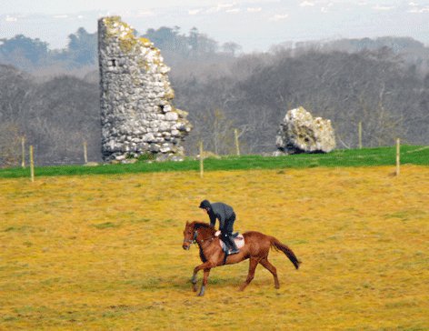 Dunany Cross... - Dunany Cross Country Equestrian Centre