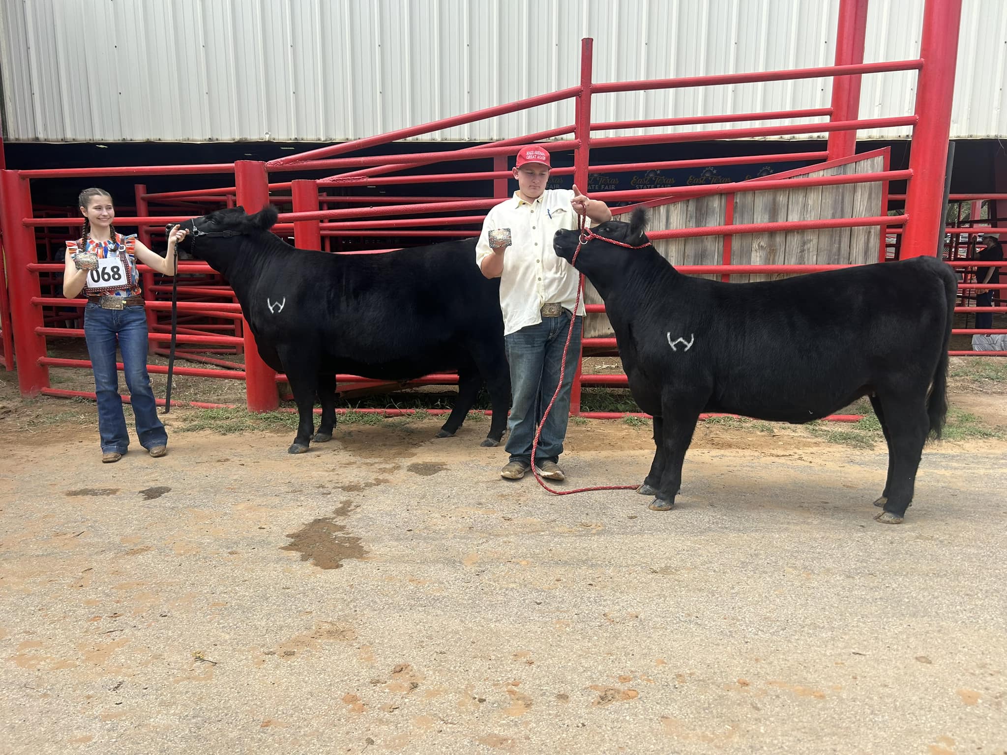Wilks Ranch Show Cattle | Carbon TX