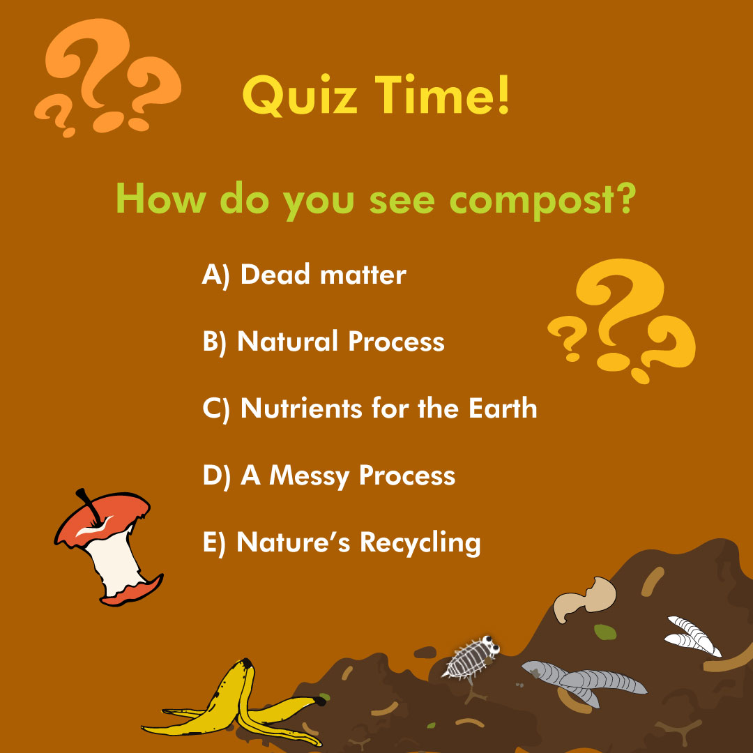 What is compost? Is it... - Daily Dump - Compost at Home