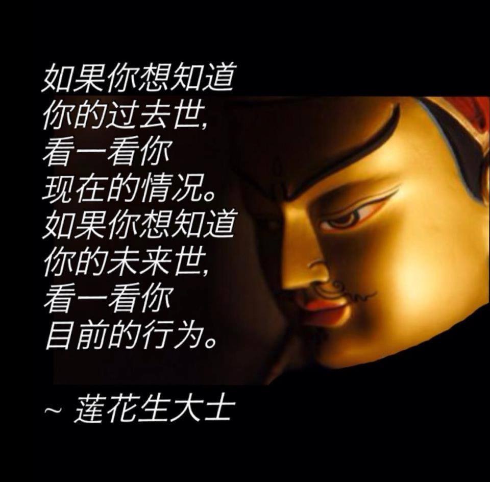 慈悲生命协会 Compassion Life Society 如果你想知道你的过去世 看一看你现在的情况 如果你想知道你的未来世 看一看你目前的行为 莲花生大士
