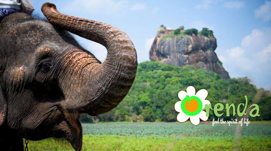 Shani Ranasinghe added a new photo. - Shani Ranasinghe
