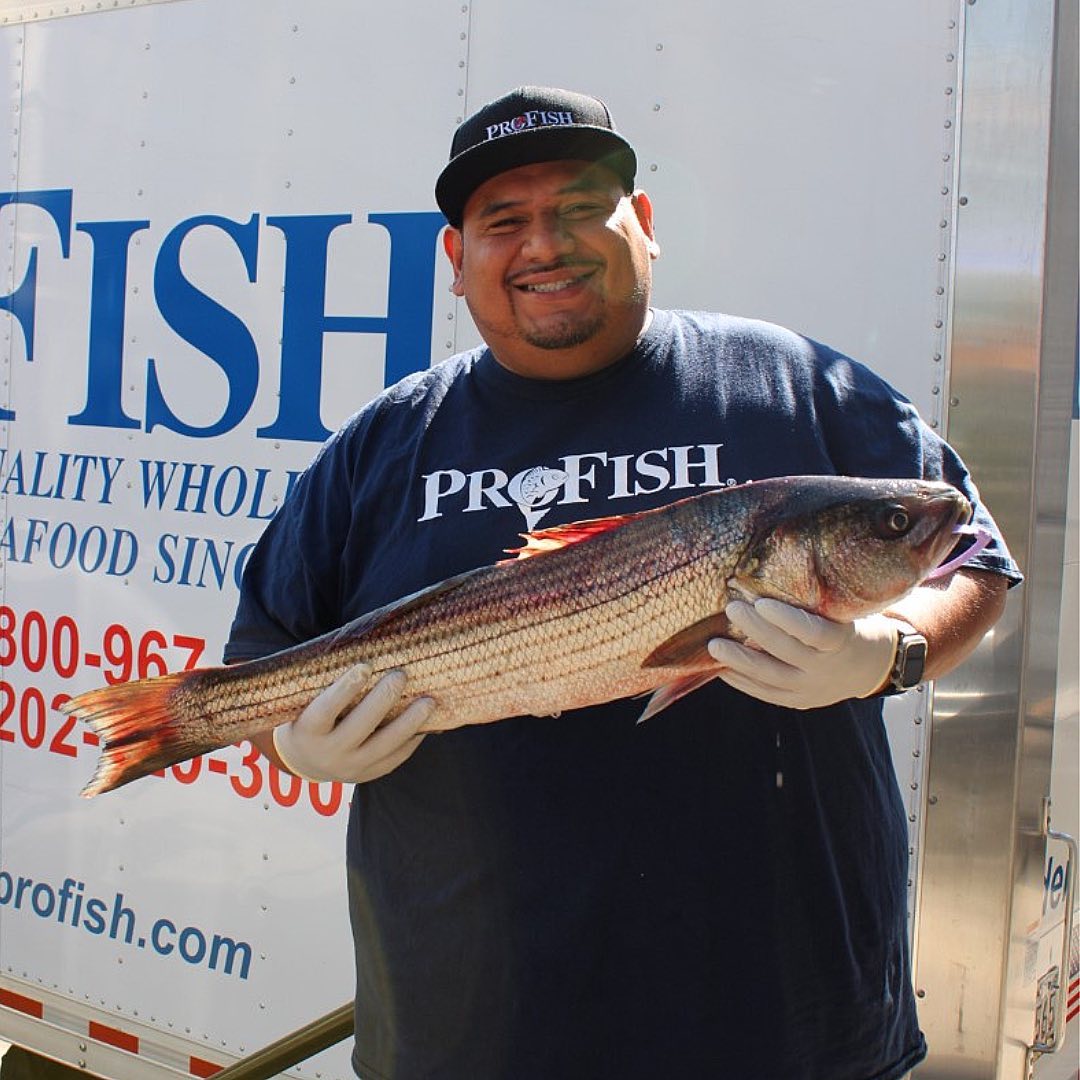 Profish, Ltd. - Meet our Employee of the Month! Roberto... | Facebook