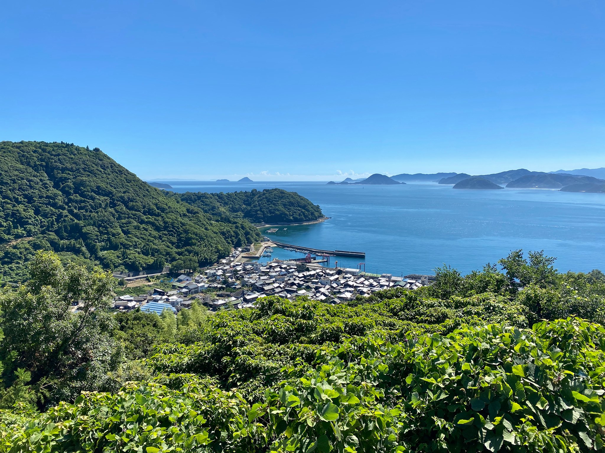 怒 和 島