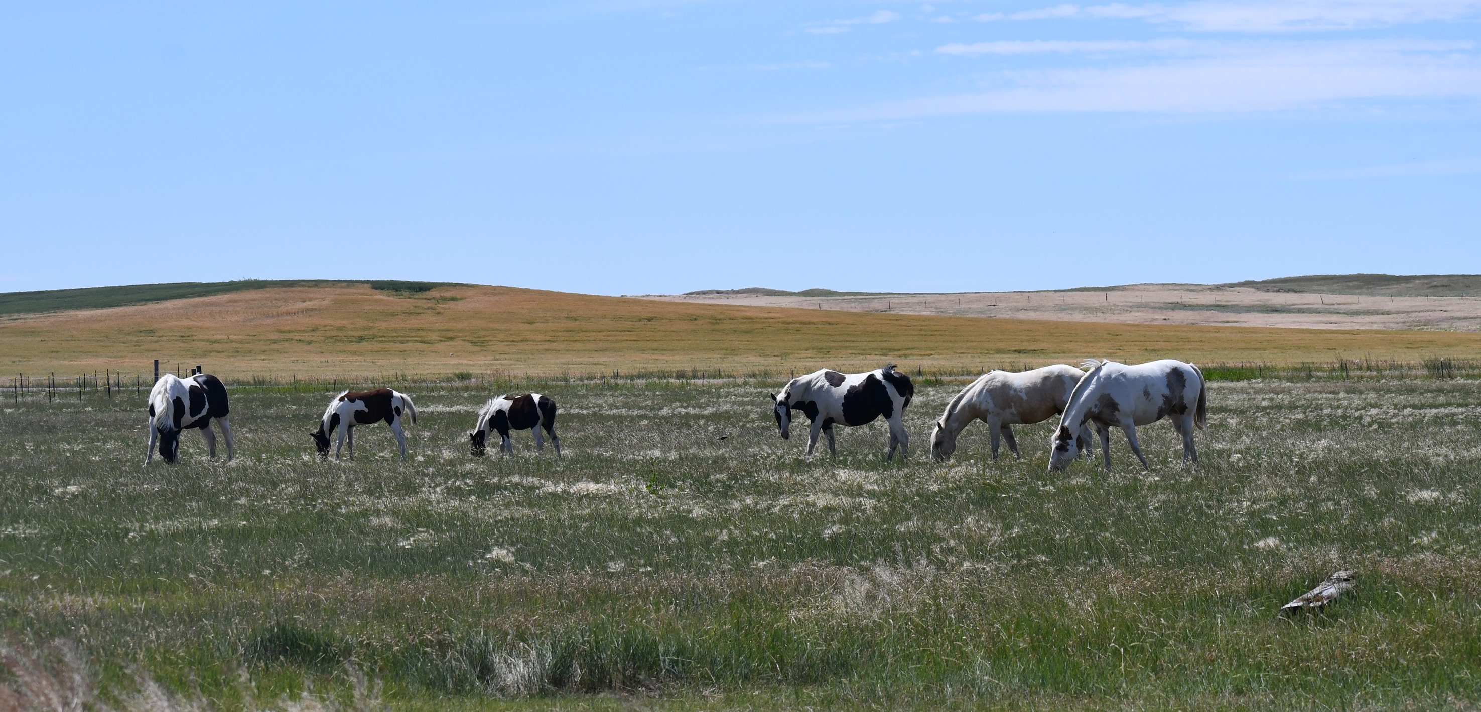 Elk Ridge Ranch | Broadview MT