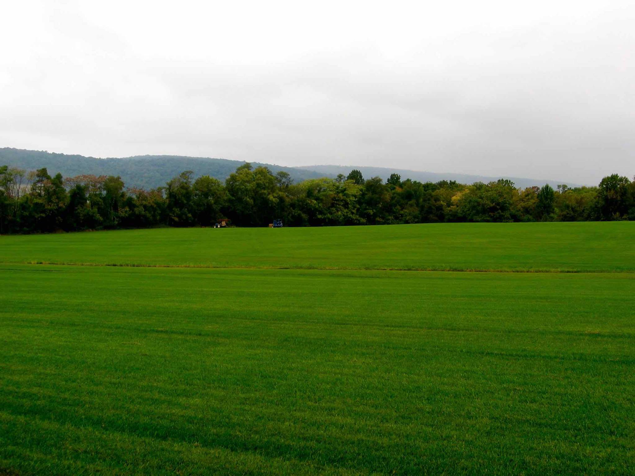 Premier Turf Farms
