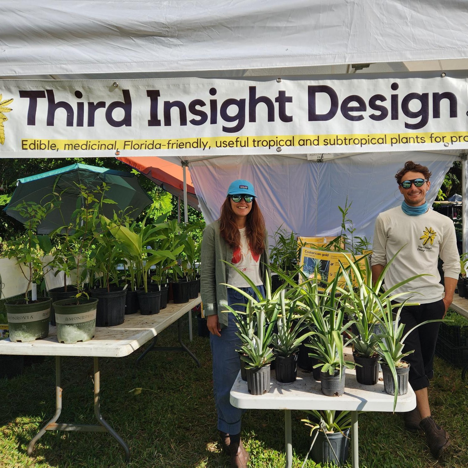 Third Insight Design and Nursery | Apollo Beach FL