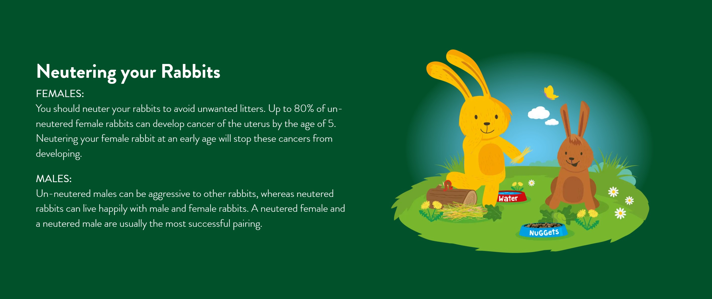 Rabbits Australia