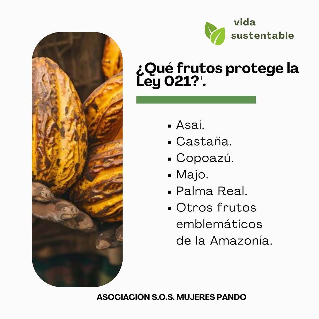 SOS Mujeres Pando