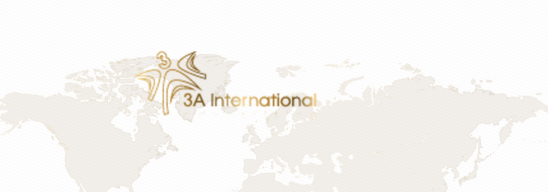 3a international