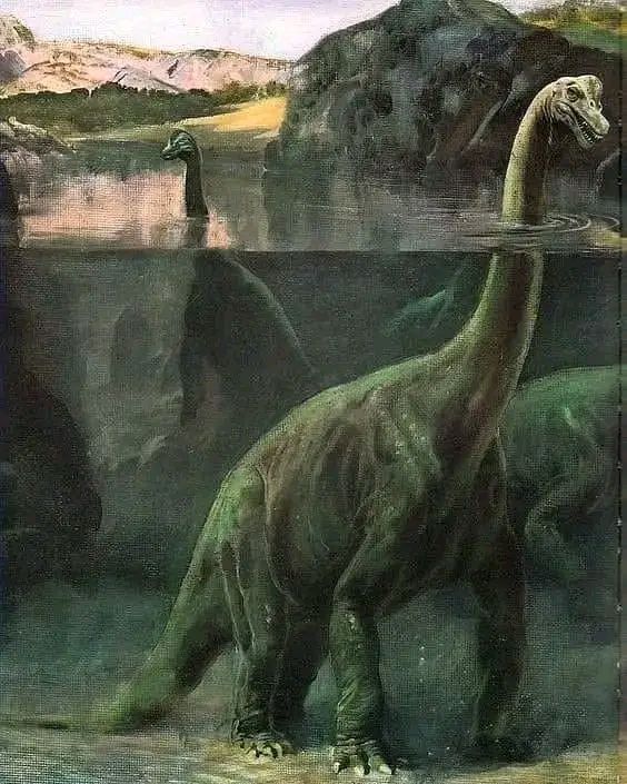 brachiosaurus in a fisher's net 2004 Brachiosaurus: Oliver, Rupert, Payne, Roger: 9780865922198 Books Brachiosaurus Habitat and Snorkeling Theory