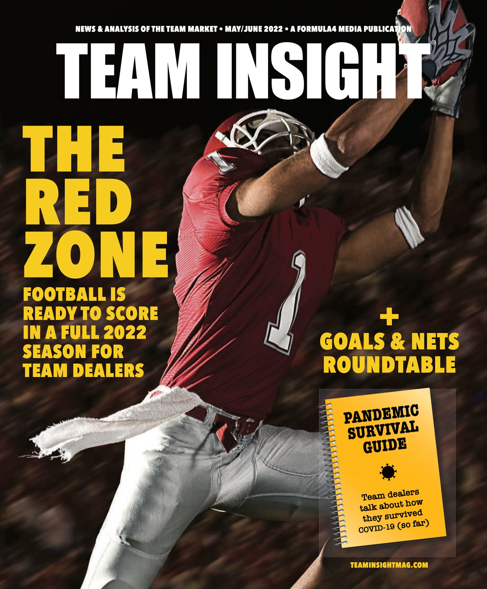 Team Insight