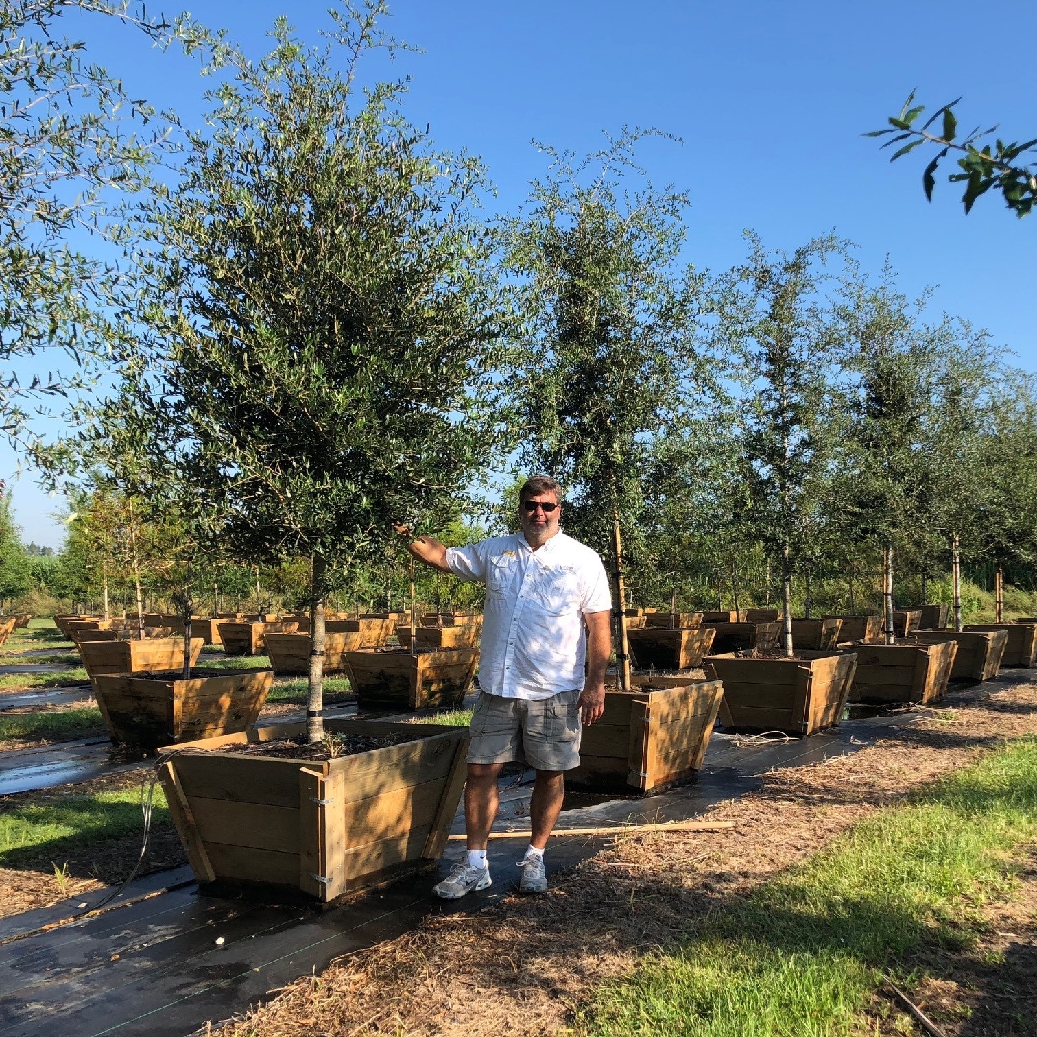 Ducote's Tree Farm on Reels