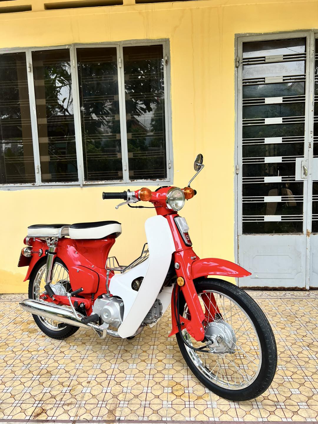 Classic Cub