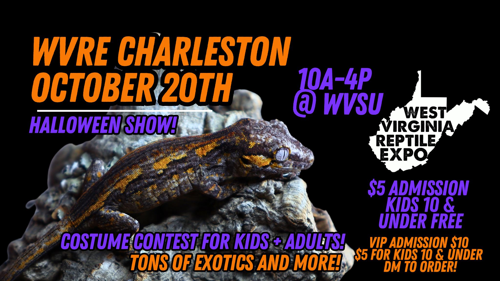 West Virginia Reptile Expo - Halloween Show!