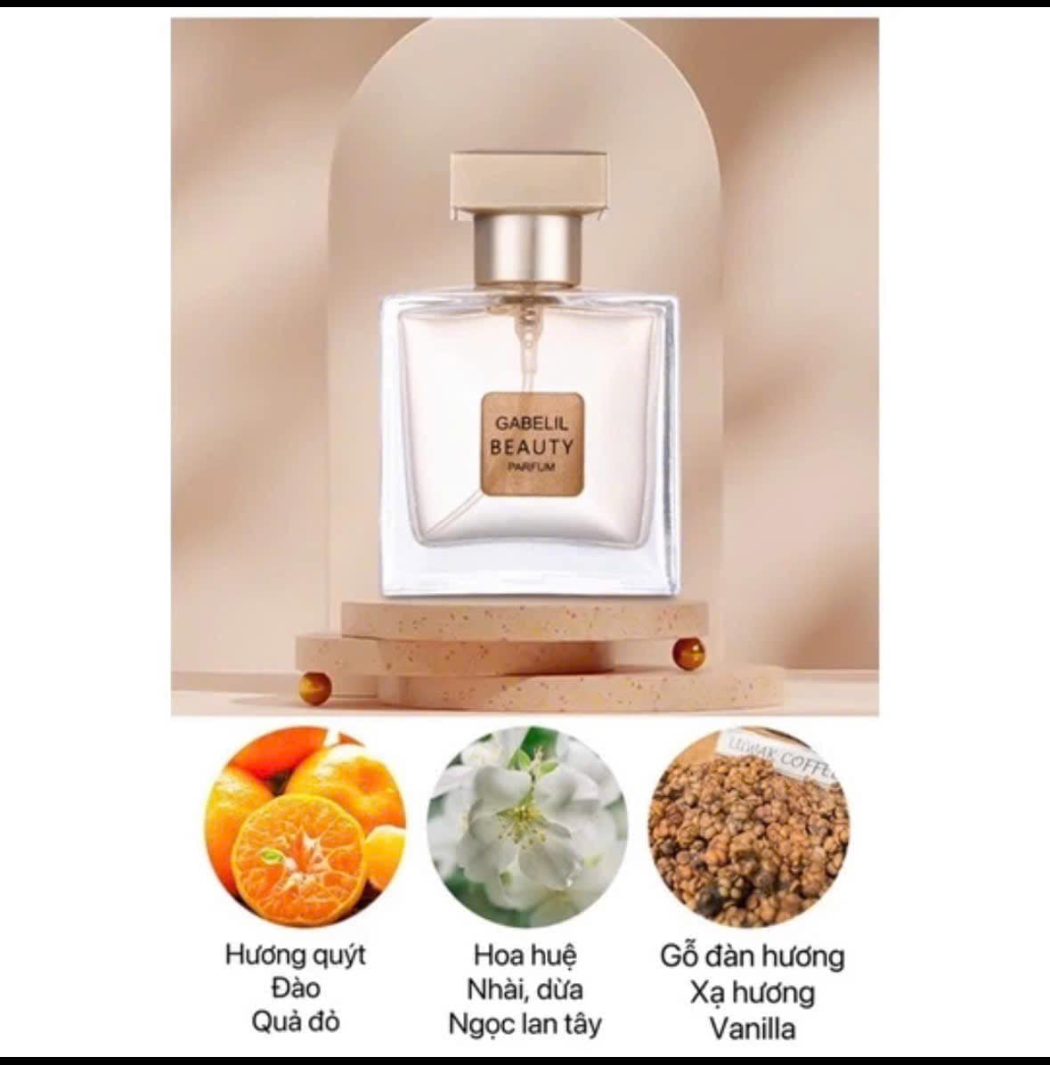 Themel STORE | Thủ Đức