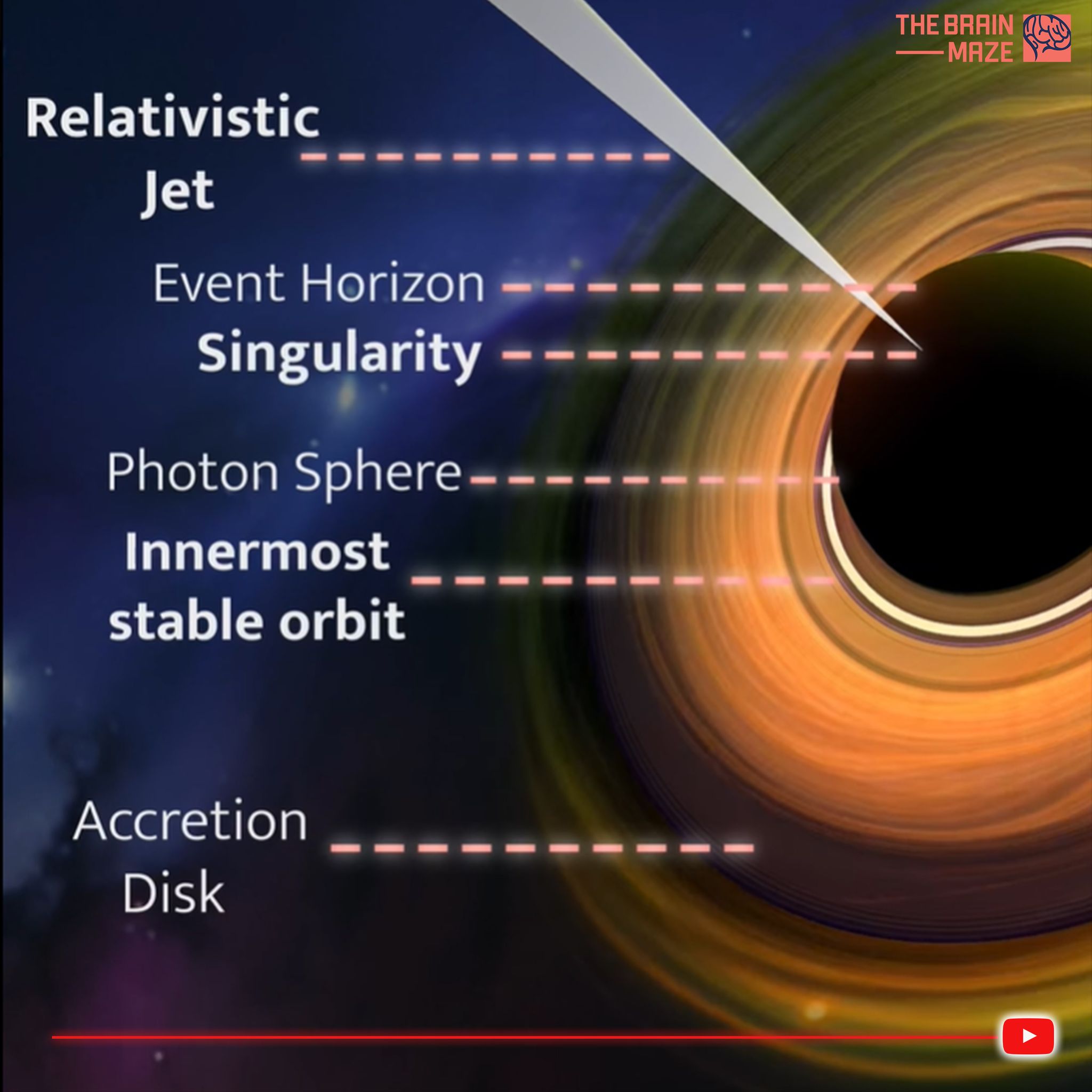 The Brain - Anatomy of a Black Hole | Facebook