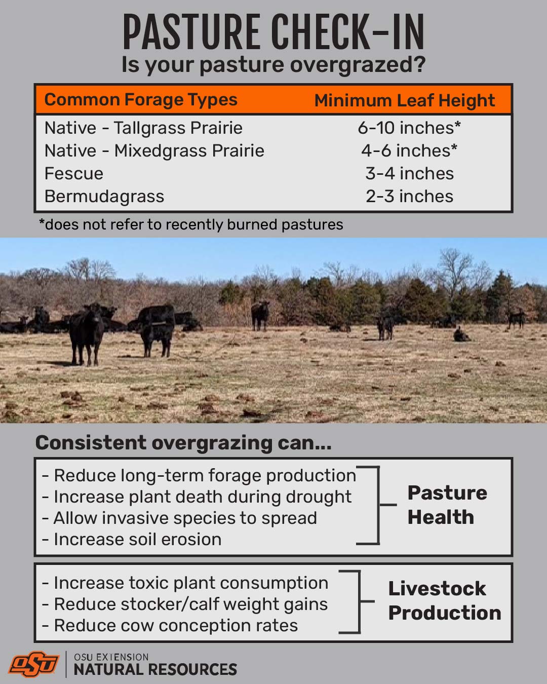 Oklahoma State University Natural Resources Extension - Pasture Check ...