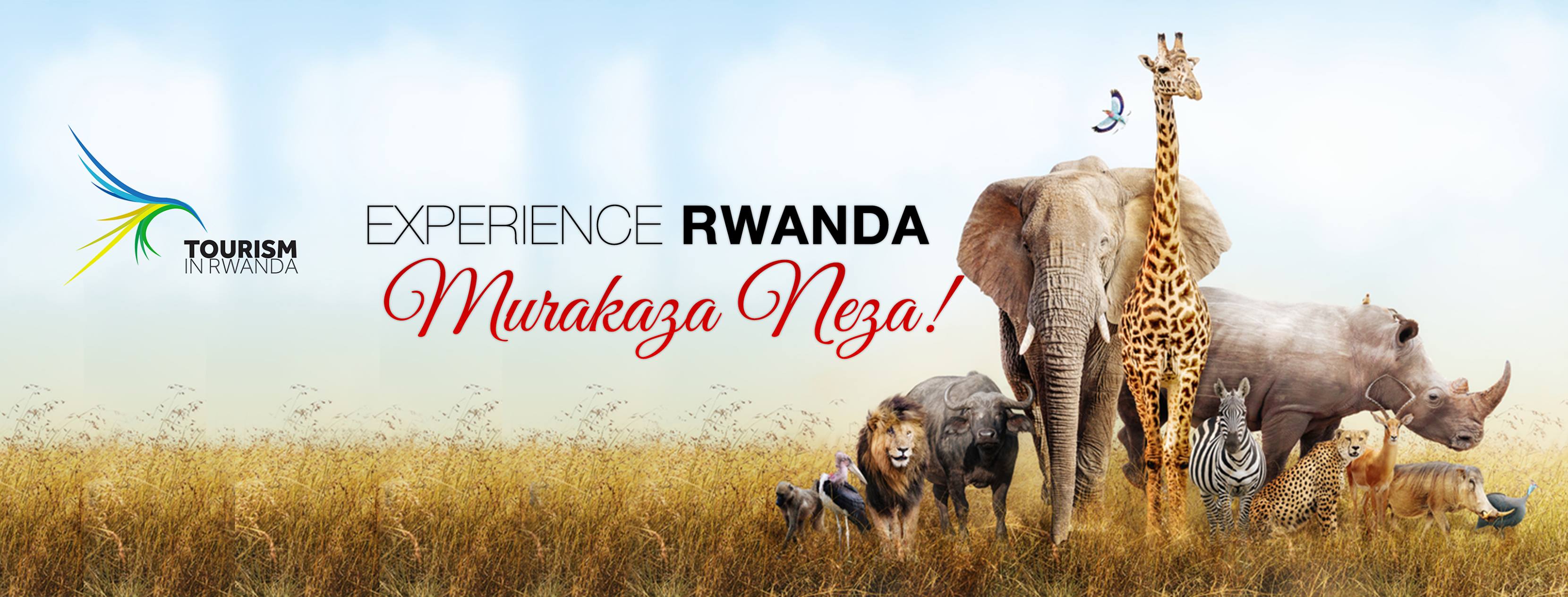 Tourism in Rwanda
