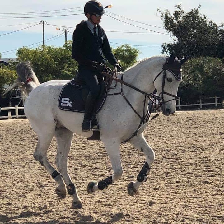www.reinrite.com... - ReinRite Equestrian Training Aid