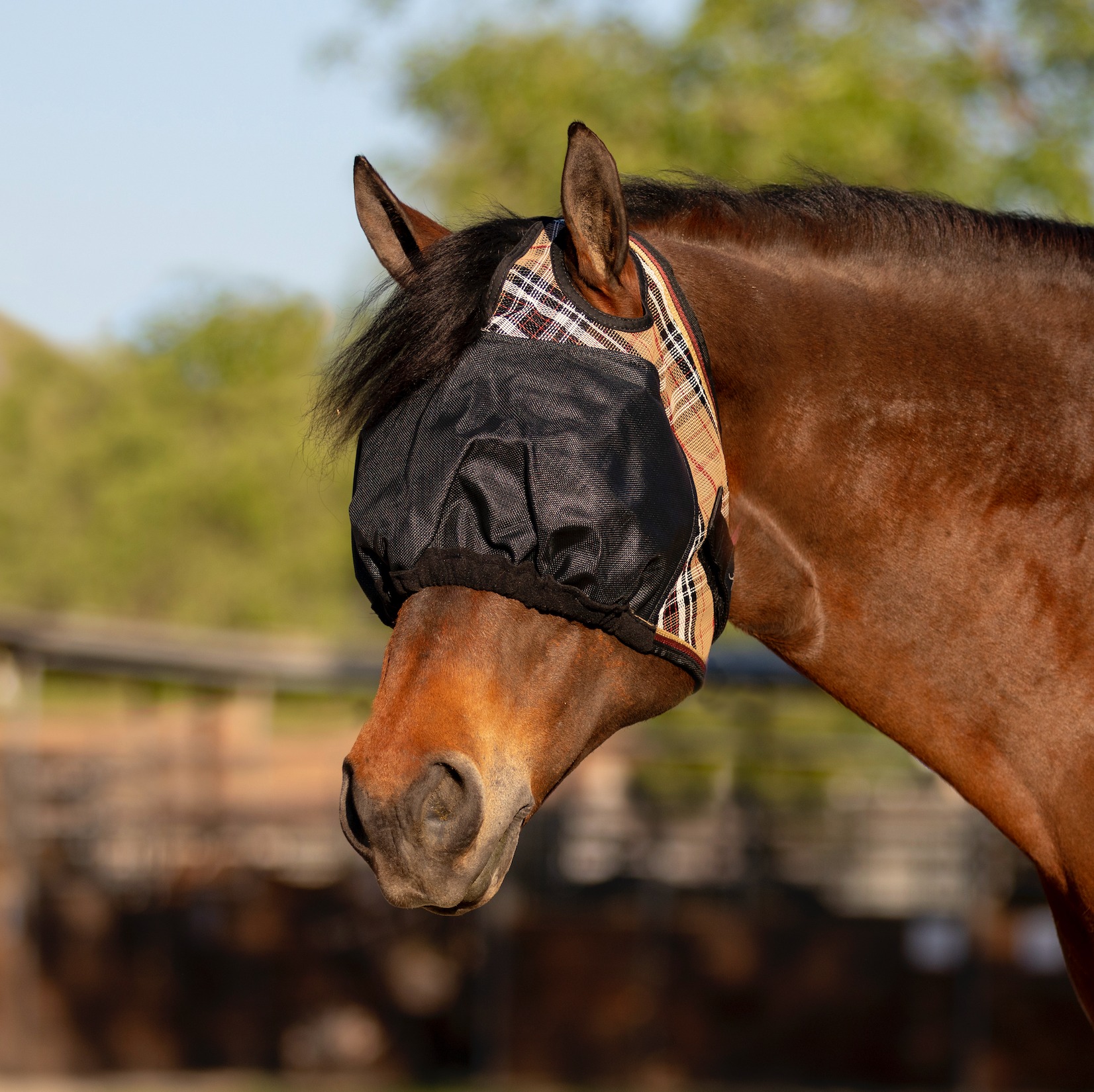 Kensington UV Protective Belly Band For Horses - Add-on For Fly Sheets, Pony/Cob Size