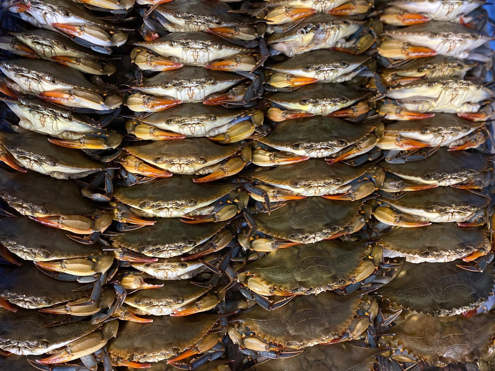 Patuxent Seafood Company, LLC Home