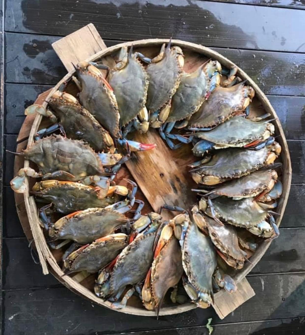 Patuxent Seafood Company, LLC Home
