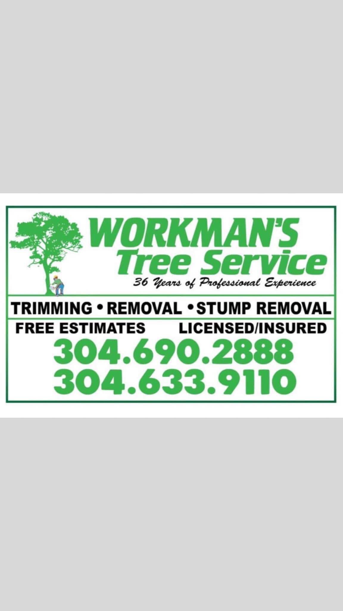Workman's Tree Service | Ona WV