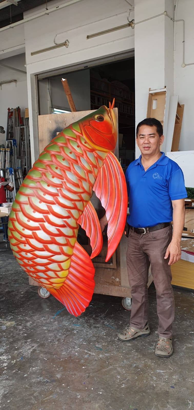 🔥 NEW OCTOBER SHIPMENT — TOHO RED ONLY $388! 🔥 Toho Red arowana — best ...