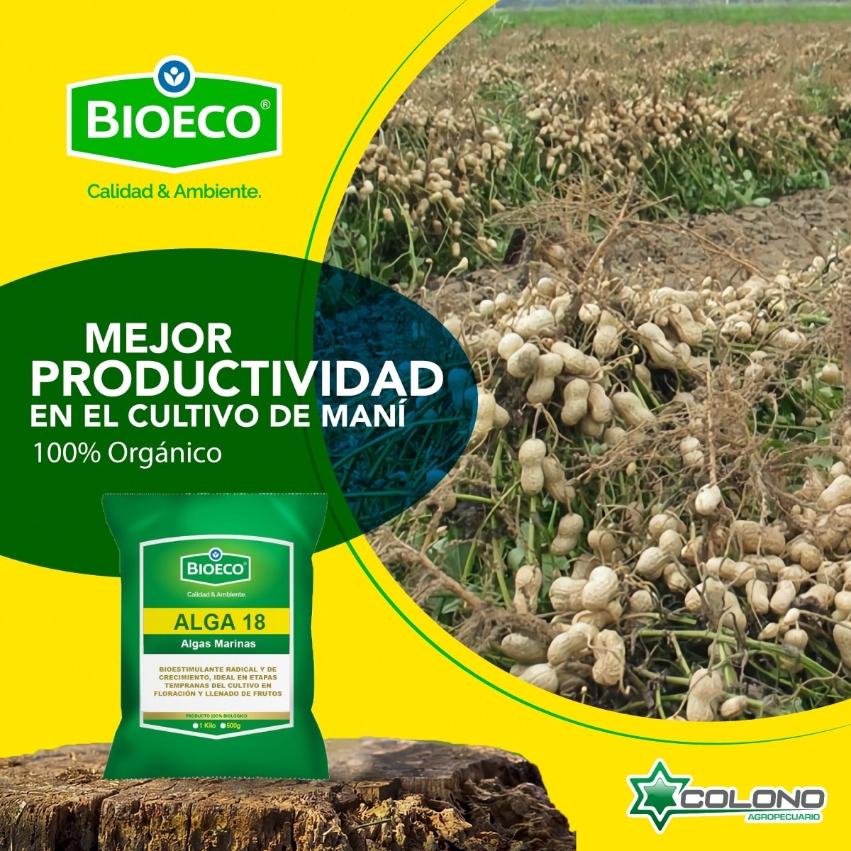 Mejor productividad en el Cultivo de... - Bioeco Nicaragua | Facebook