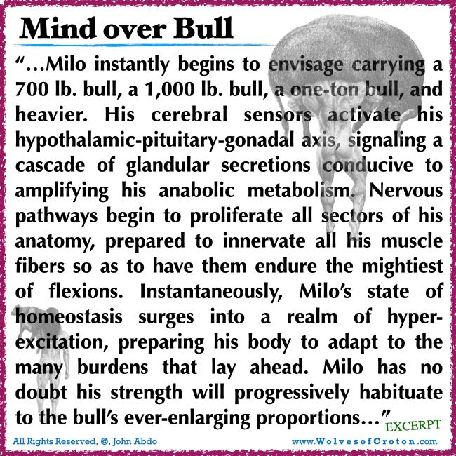 Milo of Croton - The Undisputed Strongest Man in History - Mind over ...