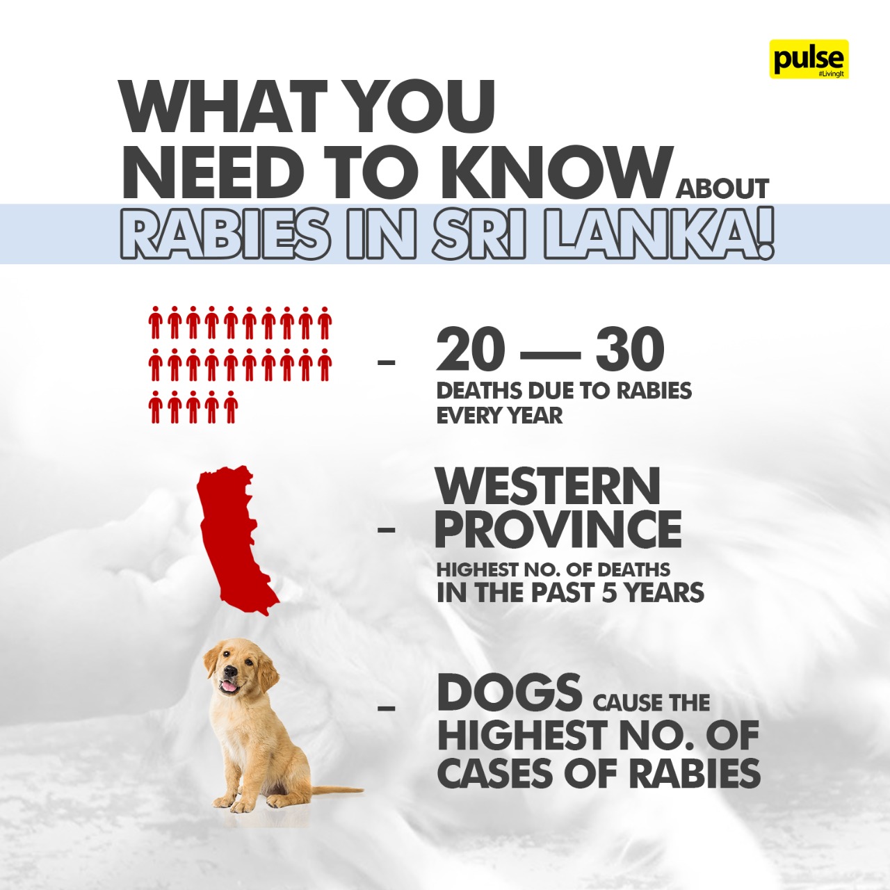Pulse - Did you know that 56 people died due to rabies in... | Facebook