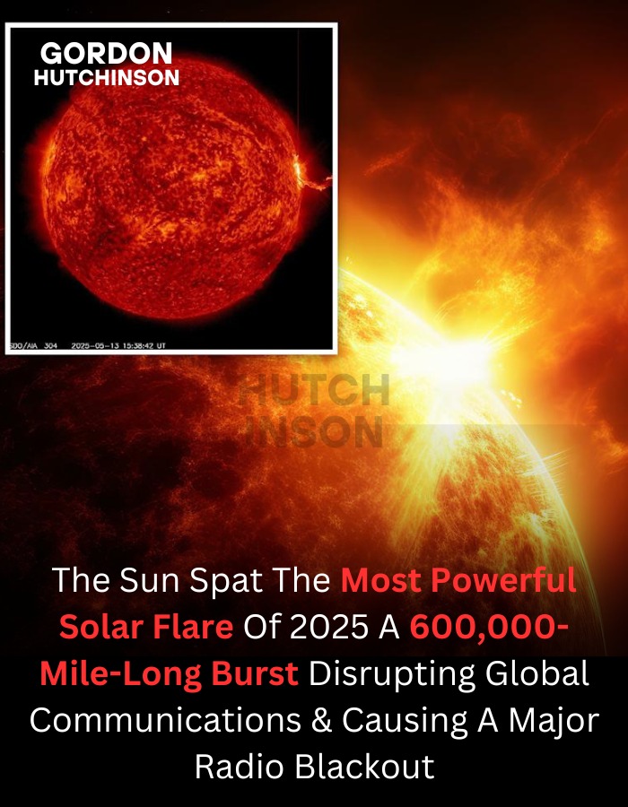 neil degrasse tyson | The Sun fired off two massive solar flares — an ...