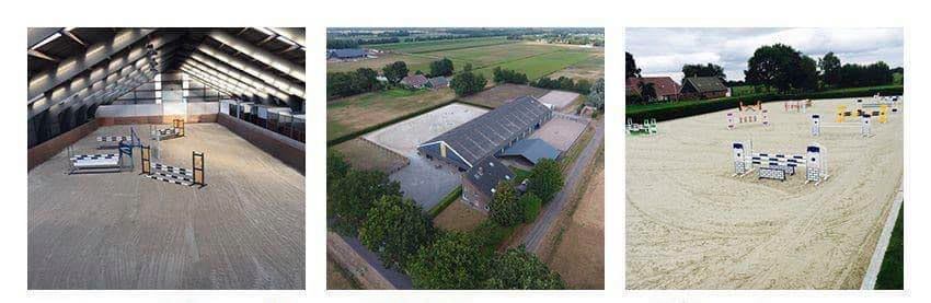 Michael Greeve Sportpaarden | Veeningen