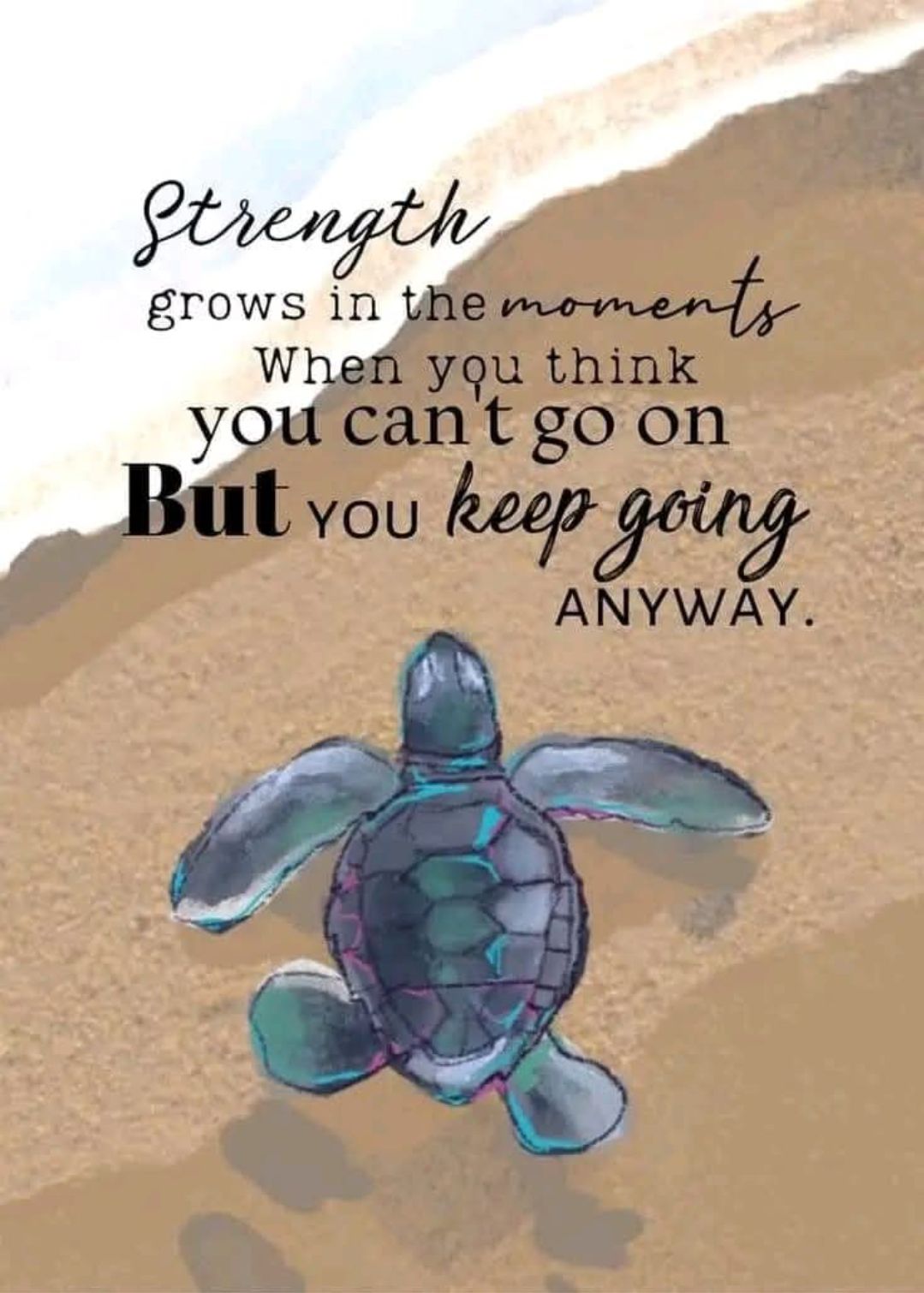 Sea Turtle Usa | Facebook