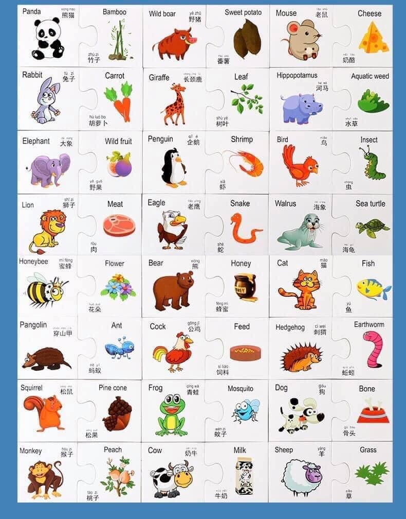 Pha Yaung Pann- Educational Toy & Stationery - Two In One Letter ...
